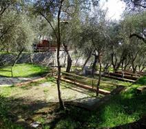 tigullio fr camping-cote-ligurienne 021