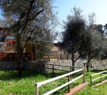 tigullio fr camping-cote-ligurienne 023